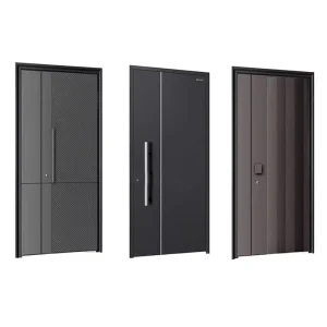 Modern Aluminum Alloy Entrance Door with Stainless Steel Screen for Outdoor Use in Villas and Apartments