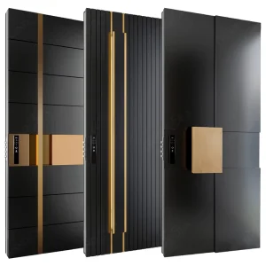 Modern American Stainless Steel and Aluminum Pivot Entry Door for Apartments