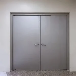 Modern American Standard Fire Prevention Steel Fire Exit Door for Mall Workshops