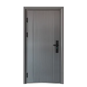 Modern Anti-Theft Security Steel Front Door for Commercial Use