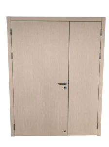 Modern Chinese Design Steel Double Entry Doors for Bedroom, Hotel, Hospital, and Office Building
