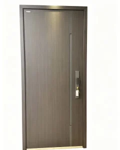 Modern Custom Waterproof Stainless Steel Aluminum Fire Rated 3Hr Security Front Entry Doors for House Apartment Hospital Villa