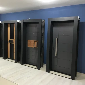 Modern Decorative Steel Security Exterior Entry Door for Home and Commercial Use, Customizable