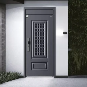 Modern Design Metal Front Double Entrance Door, Galvanized Steel Security Door for Apartment and Outdoor Use