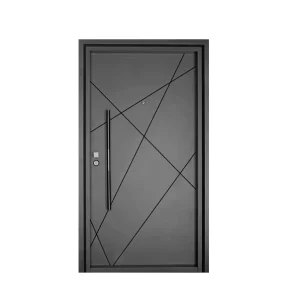 Modern Exterior Steel Security Pivot Entrance Door with Black Finish for Apartments