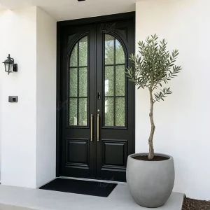 Modern Farmhouse Black Double Entry Door with Arched Glass Security Doors
