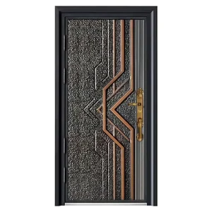Modern Finished Iron Steel Security Entry Door for Home