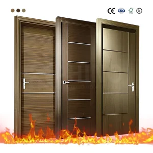 Modern Flush Design 30 Mins Fire Rated Solid Core Smooth Surface Fireproof Interior Doors for Residential Apartment Project
