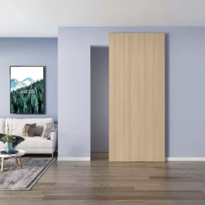 Modern Frameless Sliding Door with Completed Frame Manufacturer