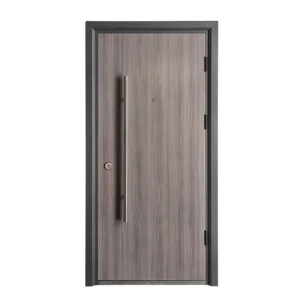 Modern Front Exterior Steel Security Door with Metal Pull Handle