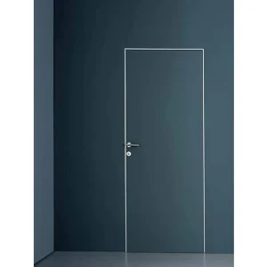 Modern Hidden Door