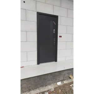 Modern Minimalist Steel Security Entrance Door with Anti-Theft Function