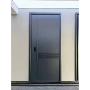 Modern Minimalist Steel Security Entrance Door with Anti-Theft Function for Apartments and Homes