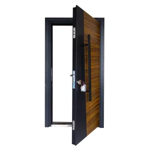 Modern Outdoor Steel Entry Door for Home