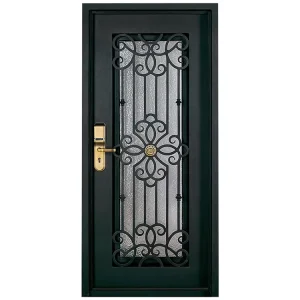 Modern Single Leaf Decorative Glass Wrought Iron Front Entry Door
