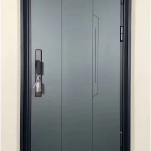 Modern Stainless Steel Front Entry Door for House or Villa