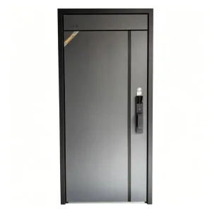 Modern Stainless Steel Security Entrance Door for Villa and Household Outdoor Use