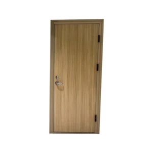 Modern Steel Fire-Rated Thermal-Insulated Single-Leaf Interior Fire Door