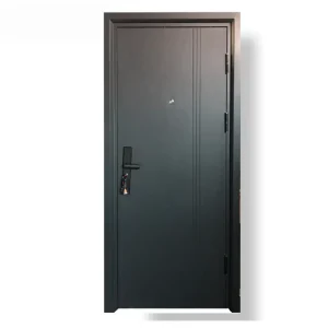 Modern Steel Security Entrance Door