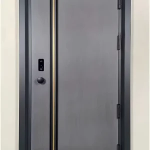 Modern Steel Security Entrance Door for Houses
