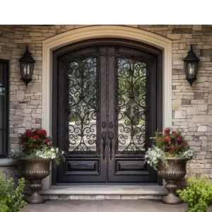 Modern Style Wrought Iron Door