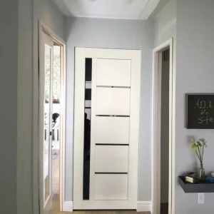 Modern Swing Single-Panel Wood Veneer Interior Door with Frame