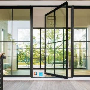 NFRC Commercial Soundproof Waterproof High Quality Aluminum Glass Pivot Door for Contemporary Home Design