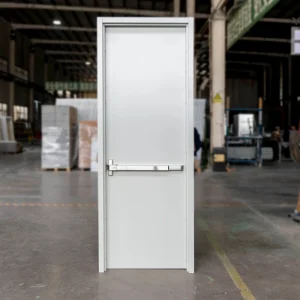 Painted Galvanized Steel Fire Doors for Hospitals, Apartments and Schools