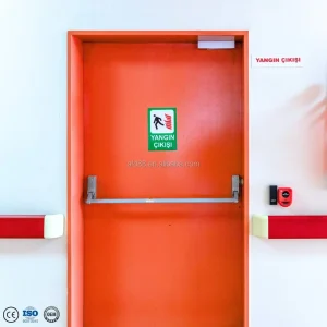 Residential Modern Steel Fire Rated Main Entry Security Door with Finished Surface for Hospital & Villa Use