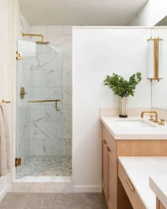 Shower Swing Doors Hinge