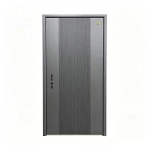 Stainless Steel Anti-Burglary Front Entry Security Door for Villa and Commercial Premises