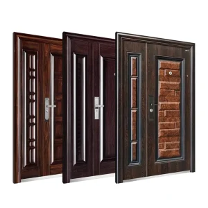Stainless Steel Front Security Door, Main Entrance
