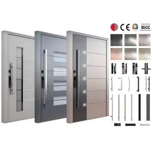 Stainless Steel and Aluminum Pivot Security Entry Door
