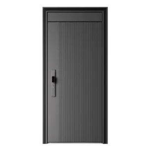 Steel Minimalist T-Shaped Entry Door with Finished Surface, Multiple Sizes, Single Door, 5-Year Warranty