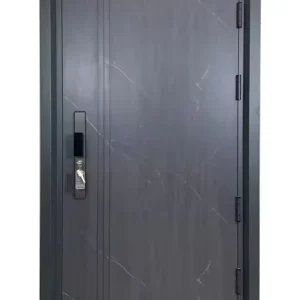Steel Modern Security Pivot Door for Residential Main Entrance
