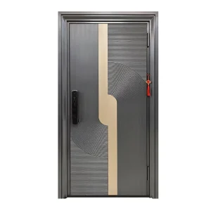 Steel Security Door for Exterior and Interior Use