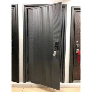 Steel Security Entrance Door