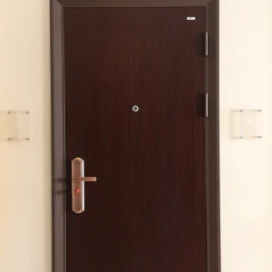 Steel Security Entry Door