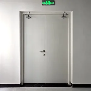 Steel Wood Fireproof Door with Fire-Rated Core
