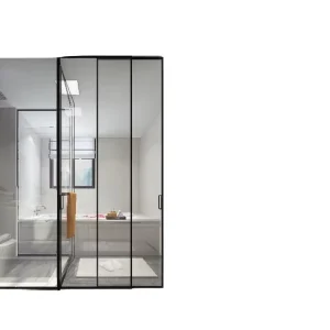 Swing and Slide Door