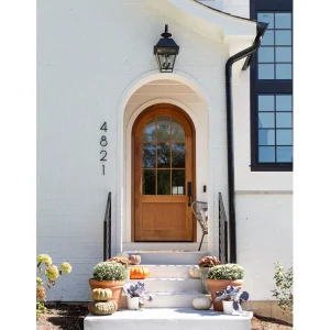 Traditional Prehung Arched Wooden Entry Door with Fiberglass Screen Netting