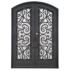 Wrought Iron Exterior Entry Doors with Glass