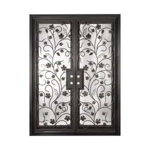 Wrought Iron Frame Frosted Tempered Glass Double Front Entry Doors for House