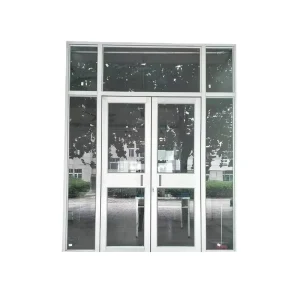 0.91 x 2.1 m Hollow Tempered Transparent Glass Swing Door with 6063-T5 Aluminum Profile for Restaurant