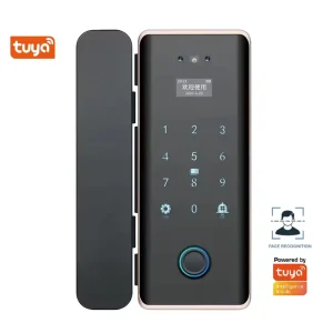 3D Face Smart Glass Brass Door Lock Facial Recognition Fingerprint Card Password Biometric Key WiFi Memory Card App Control