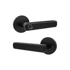 A010 Smart Lock Fingerprint Password Memory Card Remote Control Mobile App Unlock