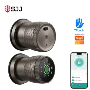 Aluminum Alloy Fingerprint Smart Knob Door Lock Cloud and App Control RFID Card Keypad Keyless Home Wood Door