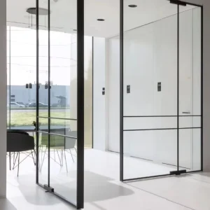 Aluminum Alloy Tempered Glass Door Glass Off-axis Home Office Doors Pivot Door