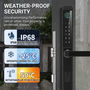 Aluminum Door Lock with Cloud Storage App Control Fingerprint Password and Key Access Grade C Security
