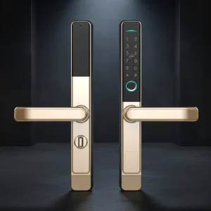 Aluminum Plastic Steel Framed Glass Sliding Door Fingerprint Password Remote Control Anti-Lock Intelligent WiFi Lock